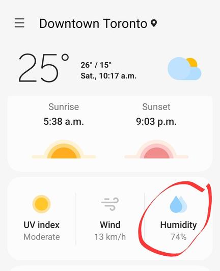 Screenshot of a weather report for the day, showing 74% humidity (circled in red) and very low winds.