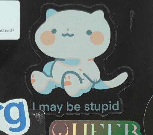 Sticker of a cutely drawn white cat with blushing cheeks sitting. Below the text "I may be stupid". It is created by the artist maruminnn. The sticker is on my black laptop surrounded by other stickers.