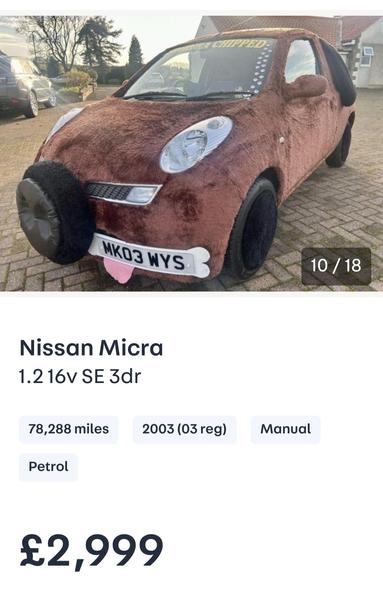 dog nissan Micra includes a tongue under the license plate and costs £2999