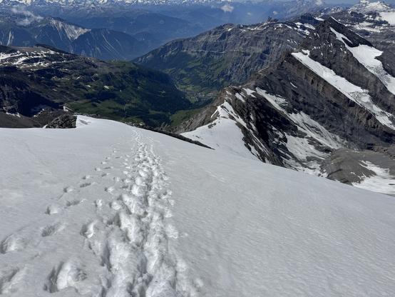 Descent view of Balmhorn SW ridge, snow field with many footprints