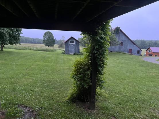 View out of the rural cabin.