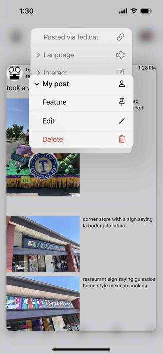 screenshot showing the menu for a post with a delete option