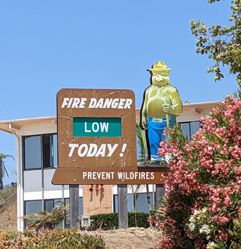 Smoky Bear sign Fire Danger Low