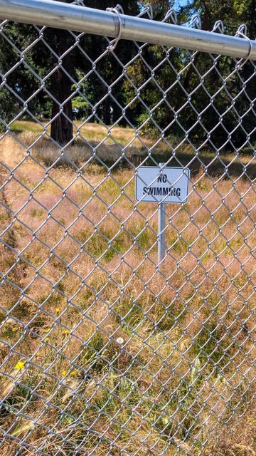 A "no swimming" sign, behind a tall chain link fence, surrounding a field of tall grass and trees, in the city.

Perhaps there are land sharks?