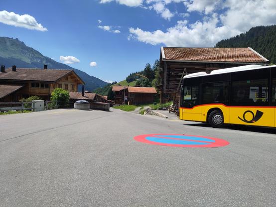 Foto. Ein gelber Bus auf einer mit Parkverbot markierten Belagsfläche.