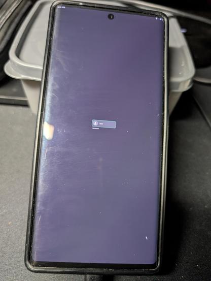 Google Pixel 6 Pro (google-raven) showing GDM