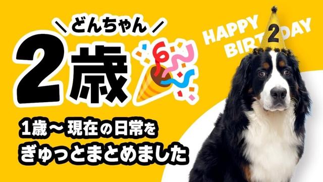 祝2歳🎉 1歳0ヶ月〜11ヶ月の日常をぎゅっとまとめました