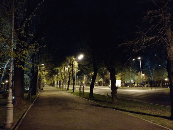 A wide boulevard at night with a wide footpath next to it. No cars on the street, time of day seems to be in the middle of the night. The view goes along the footpath which extends until the far end of the path, in almost a tunnel vision below the leafy trees