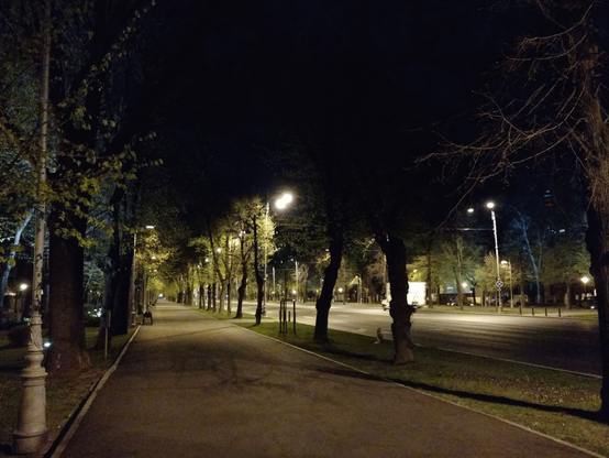 A wide boulevard at night with a wide footpath next to it. No cars on the street, time of day seems to be in the middle of the night. The view goes along the footpath which extends until the far end of the path, in almost a tunnel vision below the leafy trees