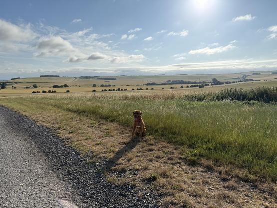 Ted sat infront of a view of my part of Oxfordshire