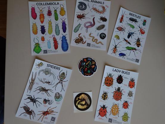 Photo of different sticker sets with a lot of critters (insects and soil fauna) created by Svenja Meyer.