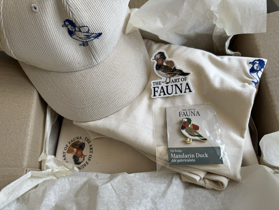 A box of Art of Fauna merchandise. On top are a cream corduroy cap and a matching t-shirt, both embroidered with a blue Mandarin duck logo. Underneath, a cream sweatshirt featuring a circular printed logo of the game. A die-cut sticker of a colorful Mandarin duck rests on top. Also visible are a rectangular card with the text “The Art of Fauna” and a pin of a Mandarin duck in its packaging, labeled with the species name “Aix galericulata.”