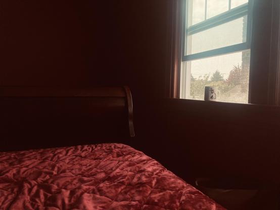 Light comes in from a window into a dark room, illuminating only a wood head board and crushed red velvet duvet.