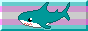 an 88*31-pixel button: an IKEA Blåhaj (blue shark) in front of a transgender pride flag (cyan, pink, white, pink and cyan horizontal stripes)