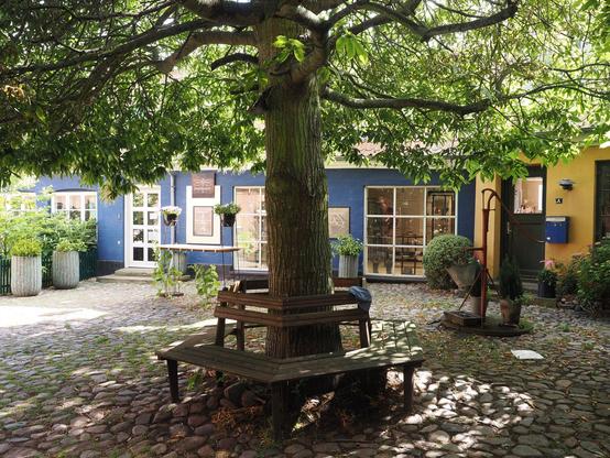 Ein großer Baum steht in einem gepflasterten Innenhof. Um den Baumstamm herum ist eine gemütliche Sitzbank gebaut, rechts dahinter steht eine alte Wasserpumpe. Die Gebäude im Hintergrund sind blau und gelb angestrichen, mit weißen Fensterrahmen. Davor stehen Blumentöpfe mit grünen Pflanzen. Der Baum bietet Schatten vor der Sonne.
