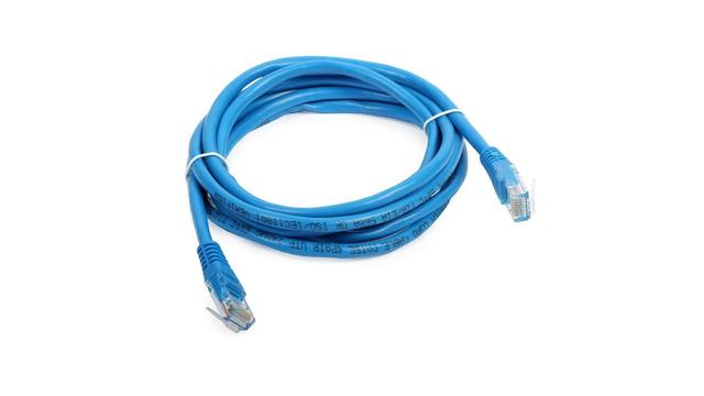 A CAT5 network cable on a white background.