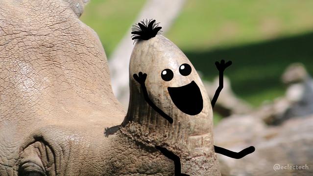 A close up photo of the top and front of a greater one-horned rhinos head, centred on the short curved horn which now has a huge smiling face drawn on, a sprig of hair on top, and arms and legs. It looks a little like it has just gleefully slid down the rhinos head on the left.