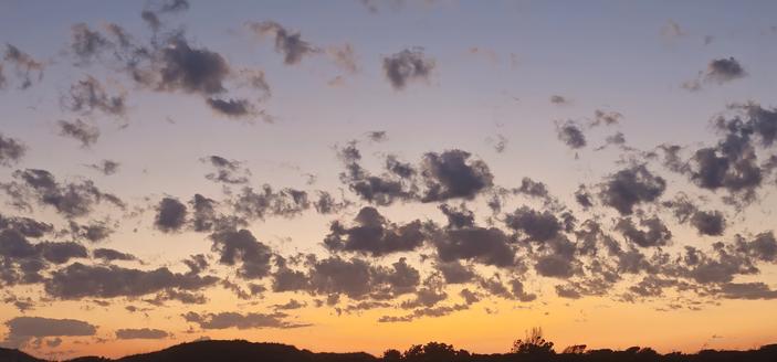 Sunset scene on barrier island, land is in silhouette and dark against an orange horizon, where a low hill on the left and the tops of groups of low trees and shrubs are visible. The orange horizon transitions to purple then a blue sky. At the point above the orange sky are patchy dark clouds interspersed with wispy extensions. They turn lighter as they are higher in the sky until they reflect white in whole or in part.
