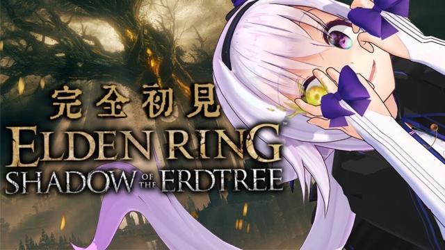 【ELDEN RING DLC🔰】考察大好きV、ついに影の地へ‼️