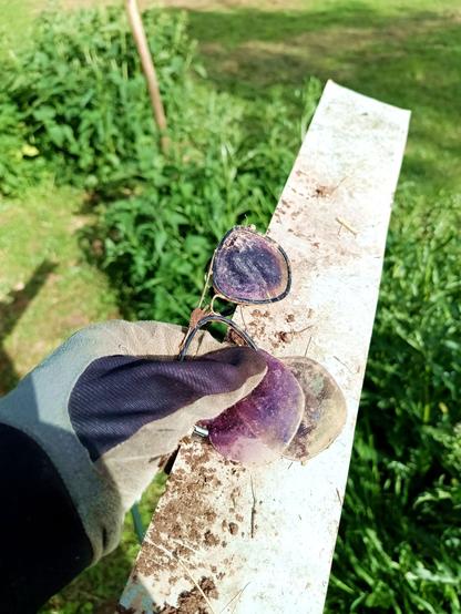 A gloved hand holding up a piece of tin covered with dirt and a pair of equally dirty sunglasses in a very old-fashioned gold framed design with double lenses.