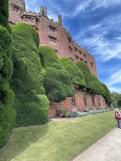 View from one side of Powis castle with topiaried trees around it