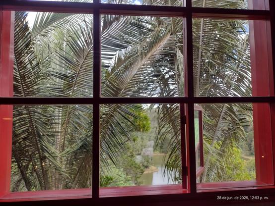 Ventana roja con vista a unas palmas y una represa al fondo