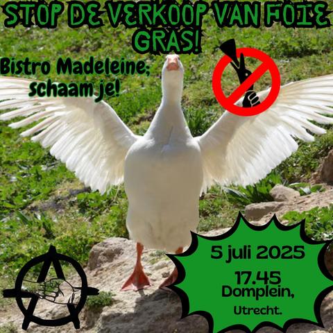 STOP DE VERKOOP VAN FOIE GRAS!

Bistro Madeleine; schaam je!

5 juli 2025
17:45 Domplein, Utrecht