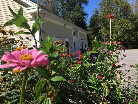 A photograph of the outside of a library building. In the foreground are many flowers in bloom in many colors. In the background are trees with green leaves.