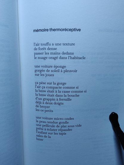 mémoire thermoréceptive 

I'air touffu a une texture 
de forêt dense 
passer les mains dedans 
le nuage oragé dans I’habitacle 

une voiture éponge 
gorgée de soleil à pleuvoir 
sur les joues 

ça pèse sur la gorge
l'air ça compacte comme si 
la bmw était à la casse comme si 
la bmw était dans la bouche 
d'un grappin à ferraille 
déjà à 2 deux doigts 
de broyer 
les os petits 

une voiture micro-ondes 
la peau tendue gonfle 
une pellicule de plat sous vide 
prête à éclater répandre 
l'enfant sur les tapis 
sales de la 
bmw