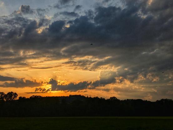 A vibrant sunset over a dark, silhouetted landscape. The sky is dominated by dramatic clouds, with a brilliant orange and yellow glow emanating from the setting sun on the left, casting rays of light upwards. The darker clouds above are tinged with grey and blue. Below the horizon, a line of trees forms a dark silhouette, and in the foreground, a dark green field stretches across the bottom of the frame. Several birds are visible as small, dark specks against the colourful sky.
