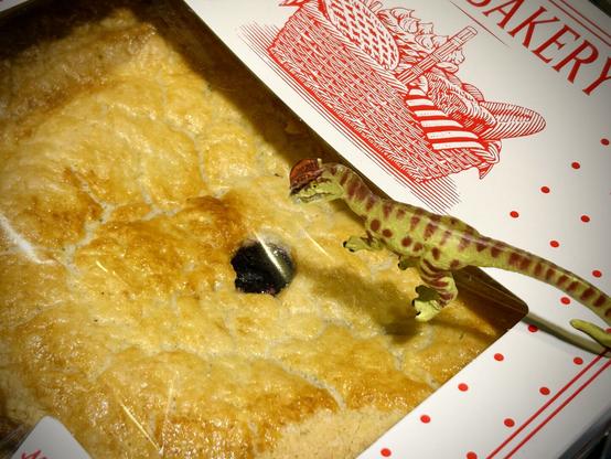 A green Dilophosaurus with brown spots stands on a packaged blueberry pie, looking at the treat within. The box is white and has an all red graphic of a picnic basket filled with bread, a pie with lattice crust, and vegetables. The word “Bakery” is partially visible. Red dots decorate the box’s edges.
