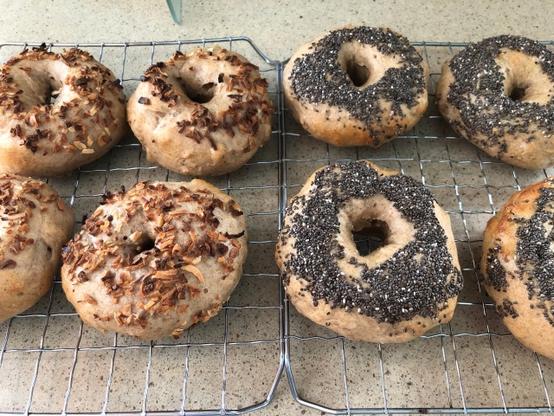eight sourdough bagels on a cooling rack. Four are topped with dried onion and four are topped with chia seeds