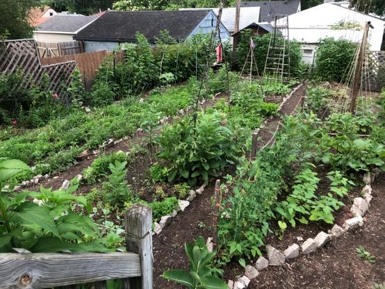 garden view