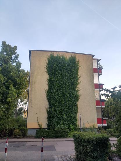Concrete wall of an apartment building with creeping vines all over the side
