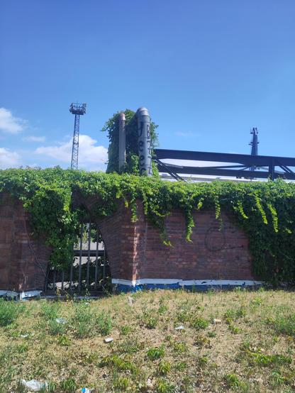 A brick wall with a vine cascading itself above and over it