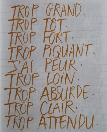 À l'image : une page de carnet avec des lignes sur laquelle est écrit au feutre et en lettres capitales le poème suivant : "TROP GRAND.
TROP TÔT.
TROP FORT.
TROP PIQUANT.
J'AI PEUR.
TROP LOIN.
TROP ABSURDE.
TROP CLAIR.
TROP ATTENDU."