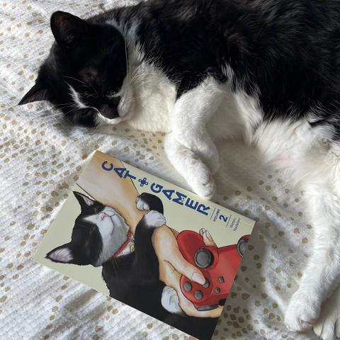 A manga volume is shown next to a sleeping black and white cat.