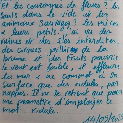 À l'image : une page de carnet avec des lignes sur laquelle est écrit au feutre l'extrait de texte poétique suivant : "Et les couronnes de fleurs ? Les sauts dans le vide et les animaux sauvages ? Les mères et leurs petits. J'ai vu des ruines et des îles interdites, des cirques jaillir de la brume et des fruits pourrir. Le vent est faible, il effleure la mer & ne commet à sa surface que des ridules, par nappes. Il ne se retient que pour me permettre d'employer ce mot : ridule."