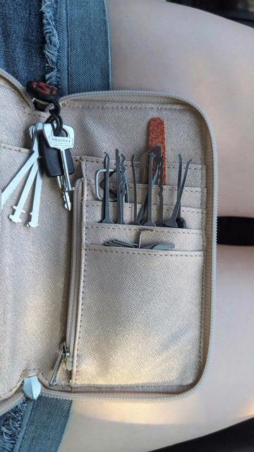 Alice's micro-purse, full of an assortment of lockpicking tools and one nail file—because they inevitably chip a nail when hunting love locks.