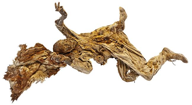 A salt mummy of a man sprawled on the ground wearing a baggy white coat and a fur cape