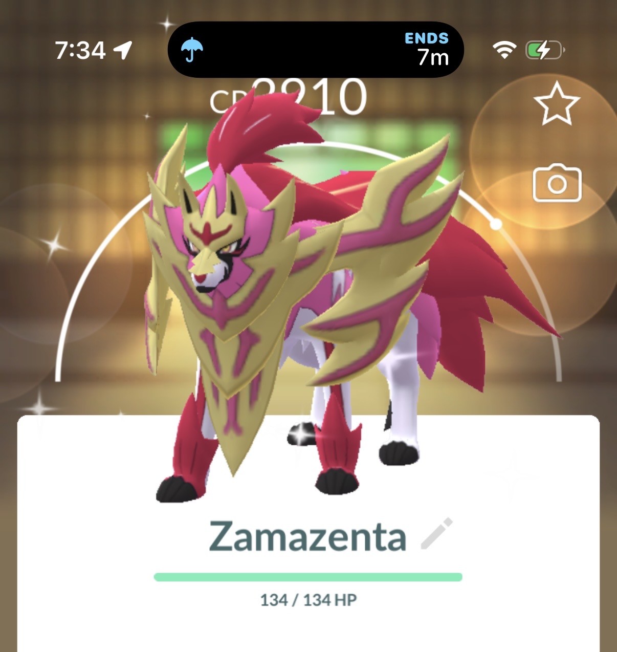 A shiny Zamazenta Pokemon, a pink dog with a shield around its face.
