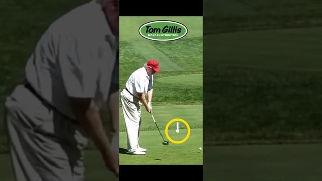 Is This The Best Golf Shot Ever?