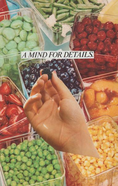 a hand holds a backberry, a background of berries and veggies. and the words "a mind for details"