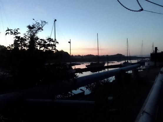 First light, masts stored on the side of the wharf, boats against a pontoon, sea wall and trees silhouetted beyond