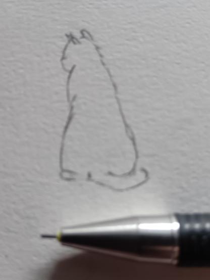 Zeichnung: Sitzende Katze, Rückenansicht