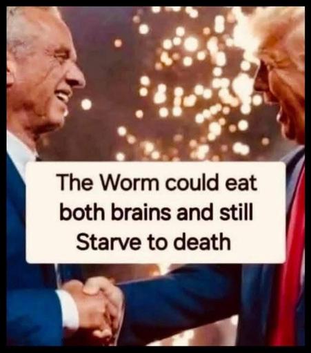the worm could eat trump and RFKJr both brains and still starve