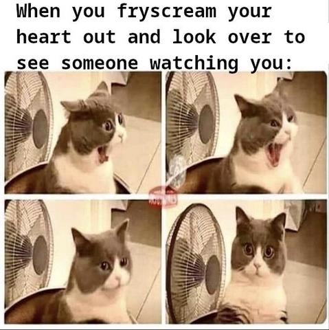 meme containing of four panels of a cat and the text "When you fryscream your heart out and look over to see someone watching you:"

panel one: the cat is apparently singing passionately
panel two: same as panel one, slightly different facial expression
panel three: the cat has stopped singing and is calm again
panel four: the cat is looking to the side, being surprised and a bit shocked