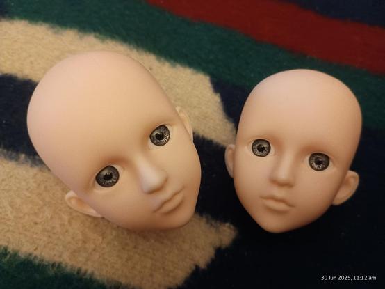 Photo: Two identical BJD doll heads, Caucasian in presentation, with grey/blue eyes. One looking directly at the camera one staring off to the left