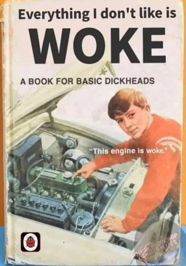 A book called Everything I don't like is woke, a book for basic dickheads. A boy in an orange jumper is pointing into a car engine saying this engine is woke.