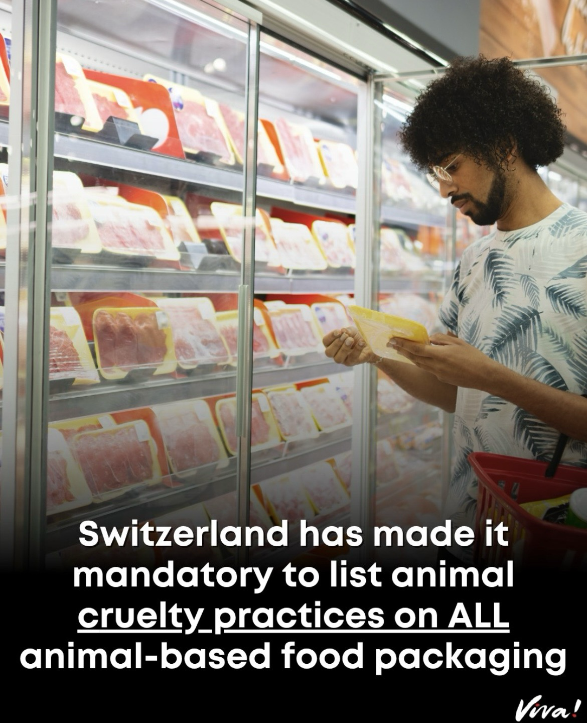 Photo of a young man with glasses and curly hair reading the label on a meat package. ‚Switzerland has made it mandatory to list animal cruelty practices on all packaging of animal based food‘